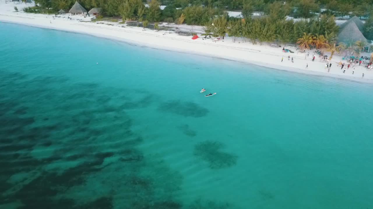 Perfect aerial flight slowly sinking down drone shot crystal clear turquoise water
paradise dream beach Zanzibar, Africa Tanzania 2019