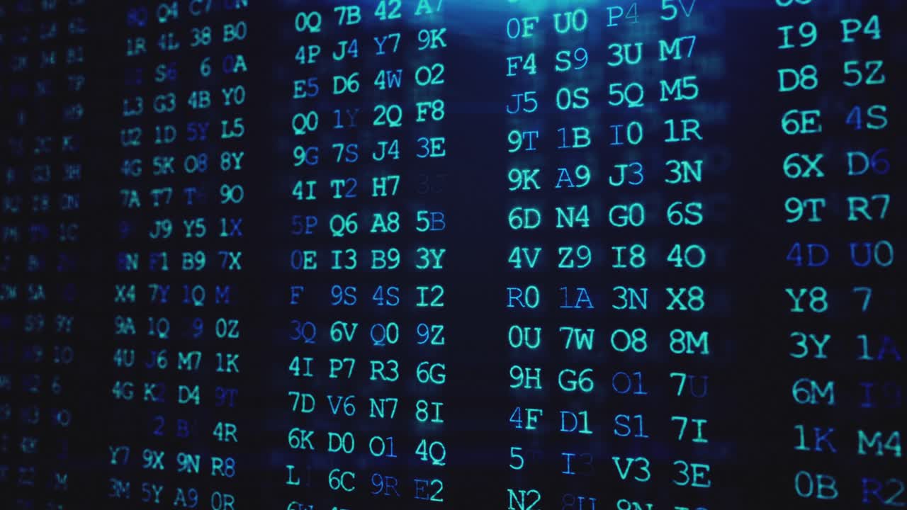 Computer Code and Data Display