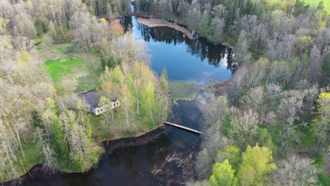 Vista-Aérea-Del-Lago-Y-El-Bosque-Circundante