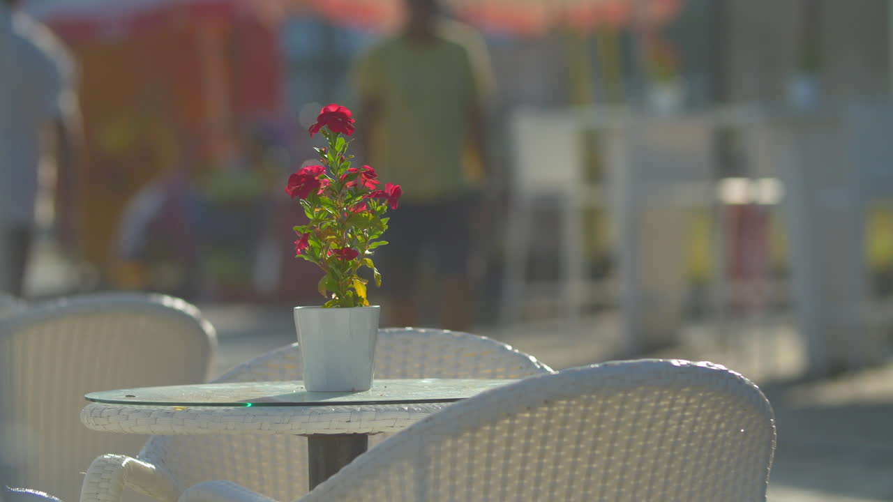 거리 카페에서 꽃이 있는 빈 테이블