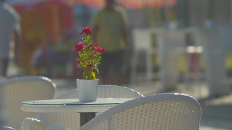 empty table with flower in street cafe