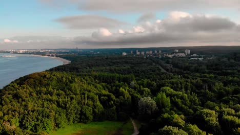 a calm flight over the trees