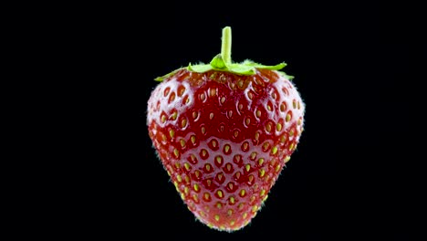 delicious strawberry rotates on a black background