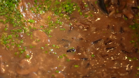 Stirring-mushroom-soup-with-fresh-chives-sprinkled-on-top---overhead-close-up-in-slow-motion
