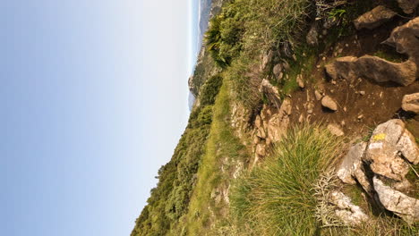 Toma-Vertical-De-4k-De-Un-Paseo-Por-Un-Sendero-En-Una-Montaña