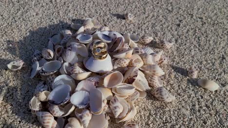 Embrace-the-magic-of-the-beach,-unforgettable-proposal-idyllic-setting,-sea-background