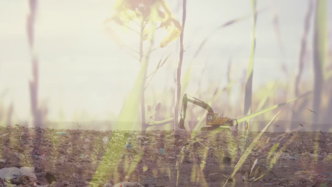 쓰레기 매립장 에서 발굴기 위 에 있는 여름 풀