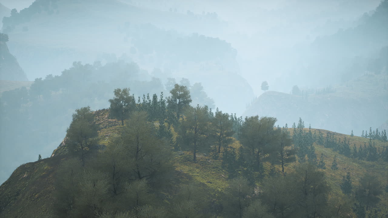 árboles en el prado entre las laderas con bosque en la niebla