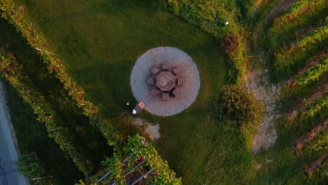 Mesa-En-El-Viñedo-Estiria-Austria-Cinematográfico-De-Arriba-Hacia-Abajo-Droneshot