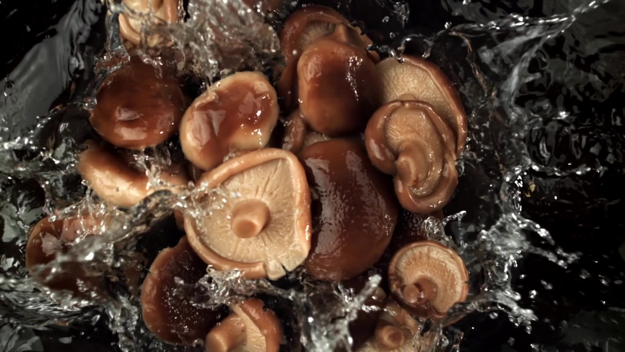 Friske shiitake-sopp vaskes i sakte film
