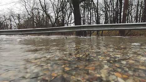 road level footage of floodwaters rising over a bridge inside of a flooded park