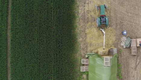 aerial shot of tractor taking a haystack to prepare cereal straw for strawberries