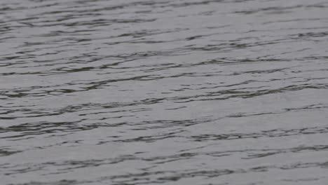 Close-up-shot-of-the-ocean-water-with-small-ripples-on-a-cloudy-day