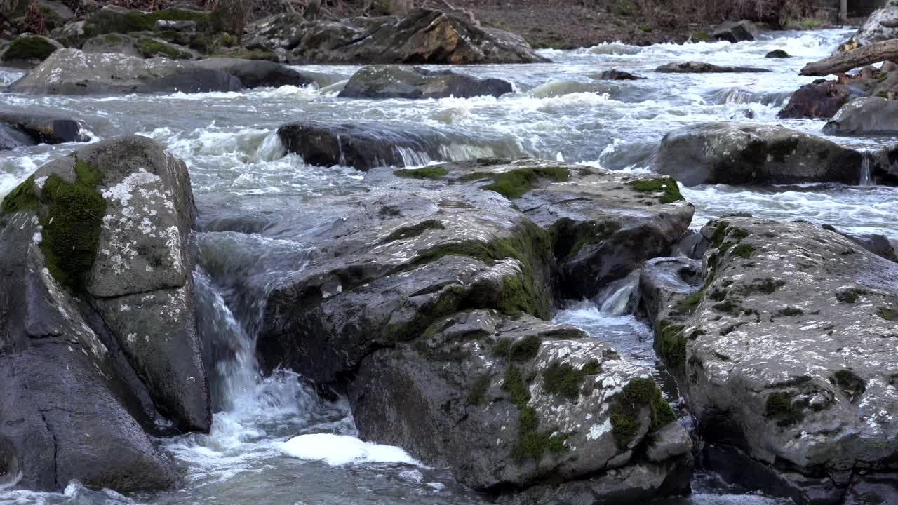 Un fiume che scorre sulle rocce e sui massi nel bosco in autunno.