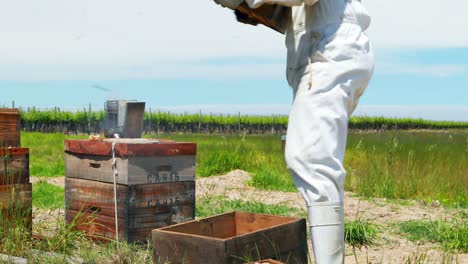 Beekeeper-working-in-apiary-garden