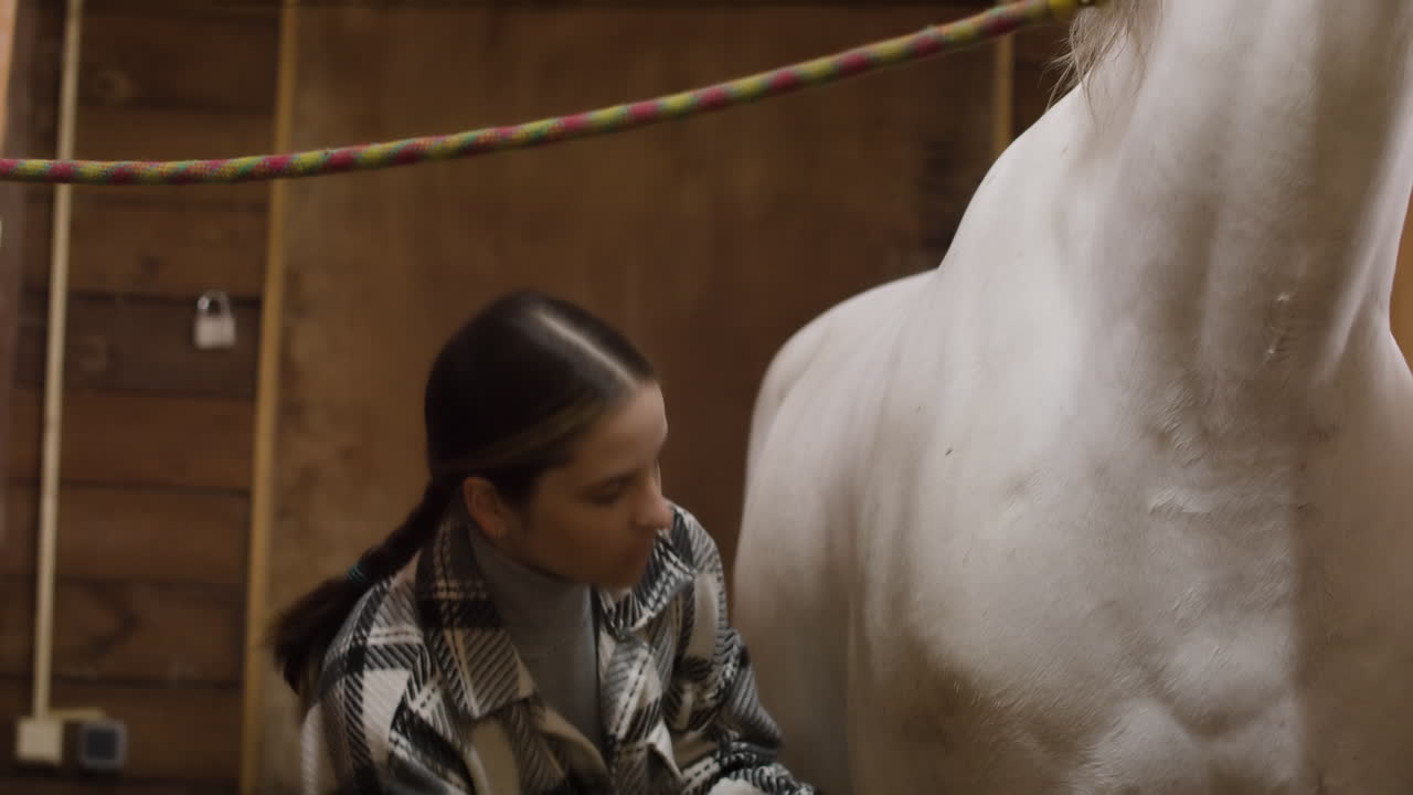 девушка расчесывает белую лошадь в помещении