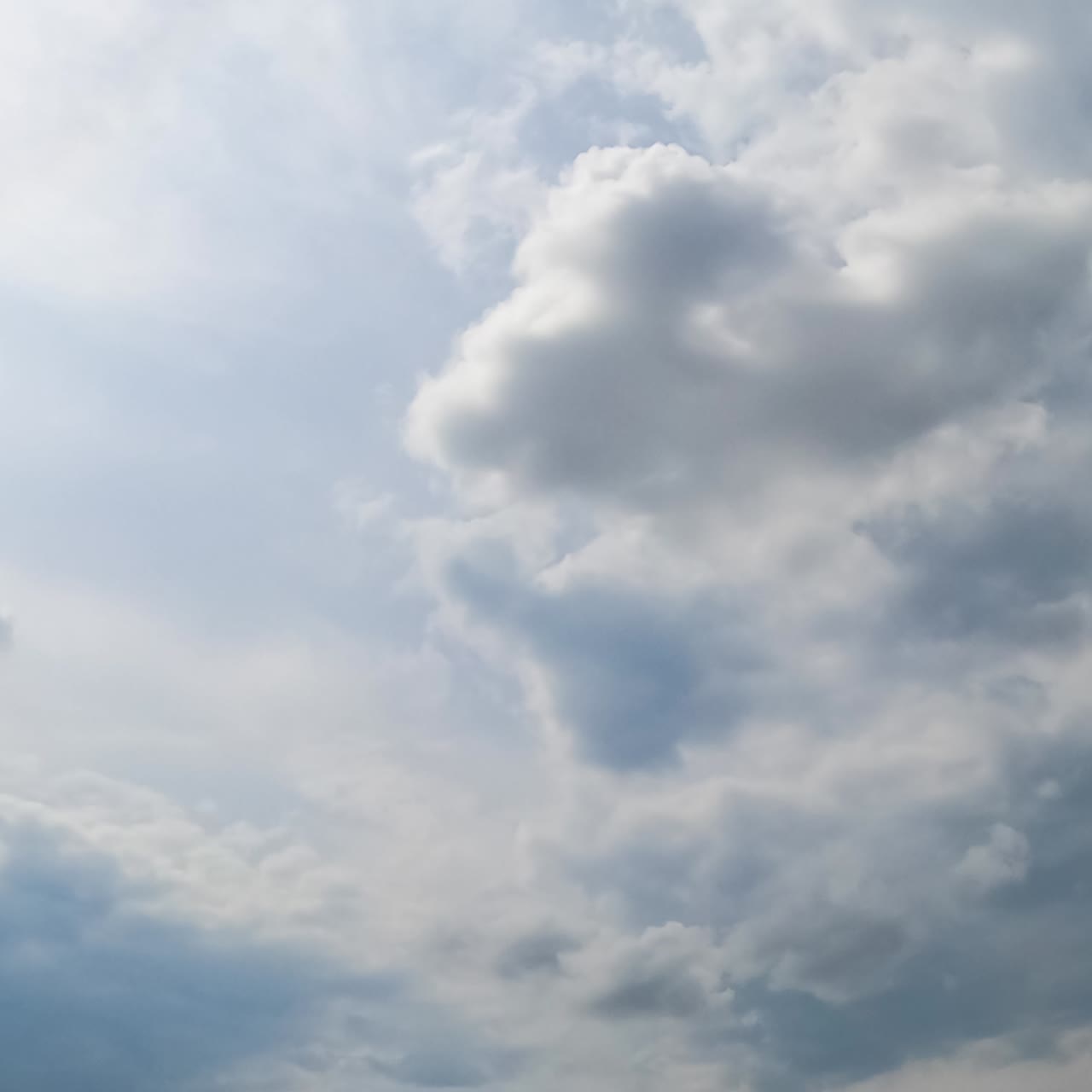 Formation of rain cloudscape in the atmosphere. Grey overcast sky from low angle view. Timelapse
