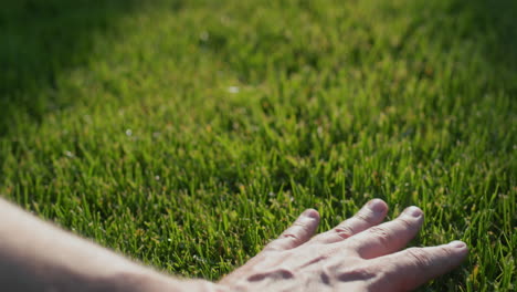 hand strokes evenly cut grass on the lawn