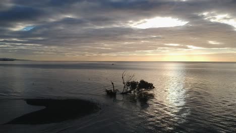 the day after the storms reveals a small island and sunken tree in the ocean, a calm day with a cloudy sunrise in the east