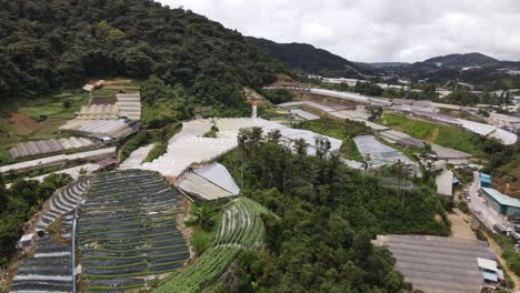 general landscape view of the brinchang district within the cameron highlands area of malaysia