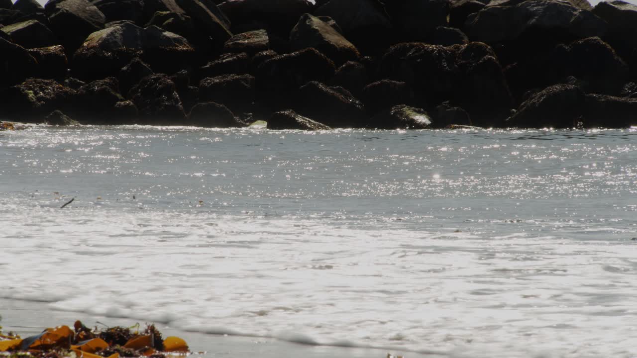 입자를 날려버리는 강력한 바람에 부딪히는 파도, 정적 뷰