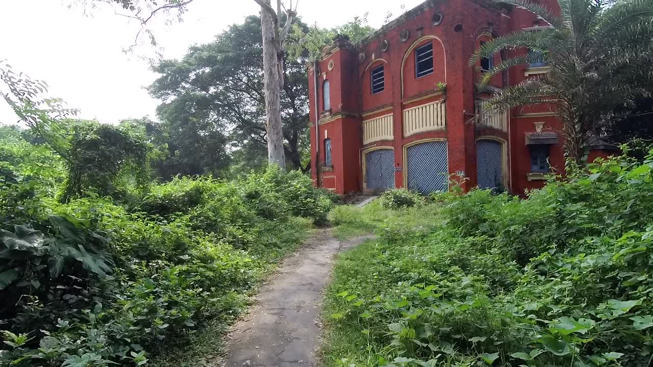 casa antigua abandonada sola y aterradora entre árboles y plantas