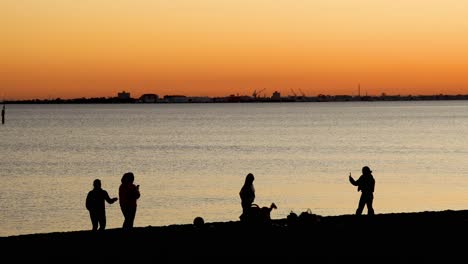 people interacting on beach during sunset