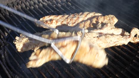 turning organic, free-range chicken breasts grilling on the backyard bbq with tongs - isolated