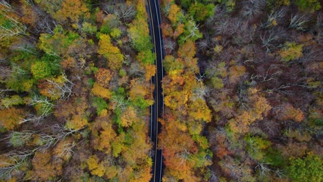 Top-down-drone-footage-of-a-freshly-paved-mountain-road-winding-through-a-beautiful-colorful-autumnal-forest