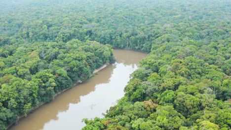 aerial view of a clam river running through the jungle in guyana