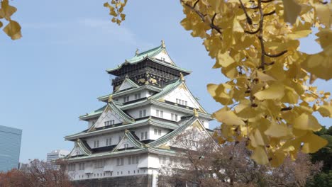 osaka castle in autumn: blue sky day in japan