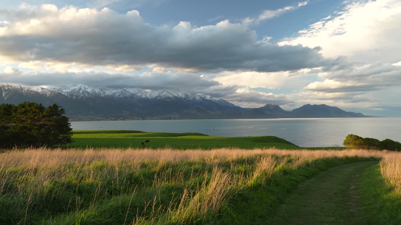 Rightward panning shot reveals a lush green pasture near Kaikōura, framed by the vast Pacific Ocean and the towering, snow-capped Kaikōura Ranges of the Southern Alps on New Zealand’s South Island.