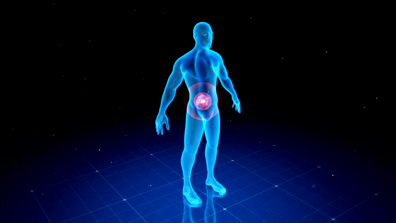 cuerpo humano digital con dolor visible en diferentes lugares, 6 opciones diferentes