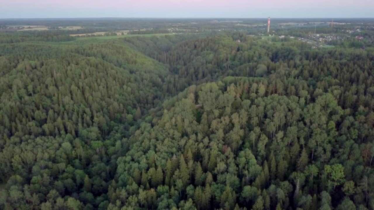 вид с воздуха на густой лес в долине - устойчивая эстакада