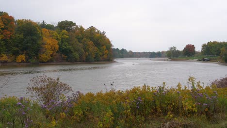 Winding-River-Surrounded-by-Autumn-Trees---Static-Fall-Nature