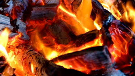 llamas de fuego sobre un fondo negro