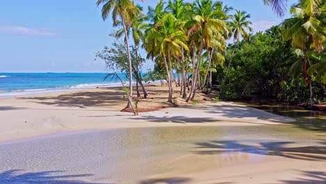 shallow and clear water of stream at the playa coson beach shore with tropical palm trees in las terrenas, dominican republic