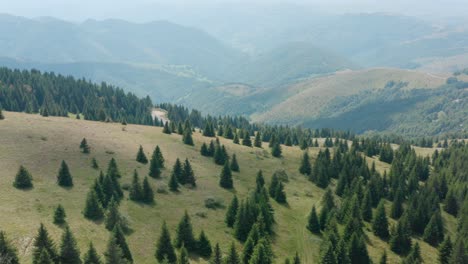 beautiful bright green landscape of golija, serbia -aerial