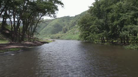 drone view over water in green forest of polou valley with mountain landscape in hawaii