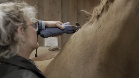 A-close-up-shot-of-a-Caucasian-female-grooming-her-horse-by-shaving-the-winter-coat-off-the-animal-with-electric-clippers