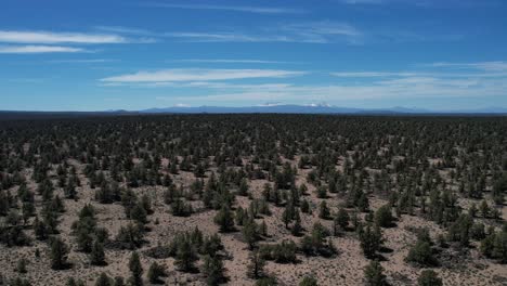 Una-Gran-Extensión-Desértica-En-El-Este-De-Oregon-Con-Arbustos-Y-Arbustos-Y-Las-Montañas-En-Cascada-En-La-Distancia