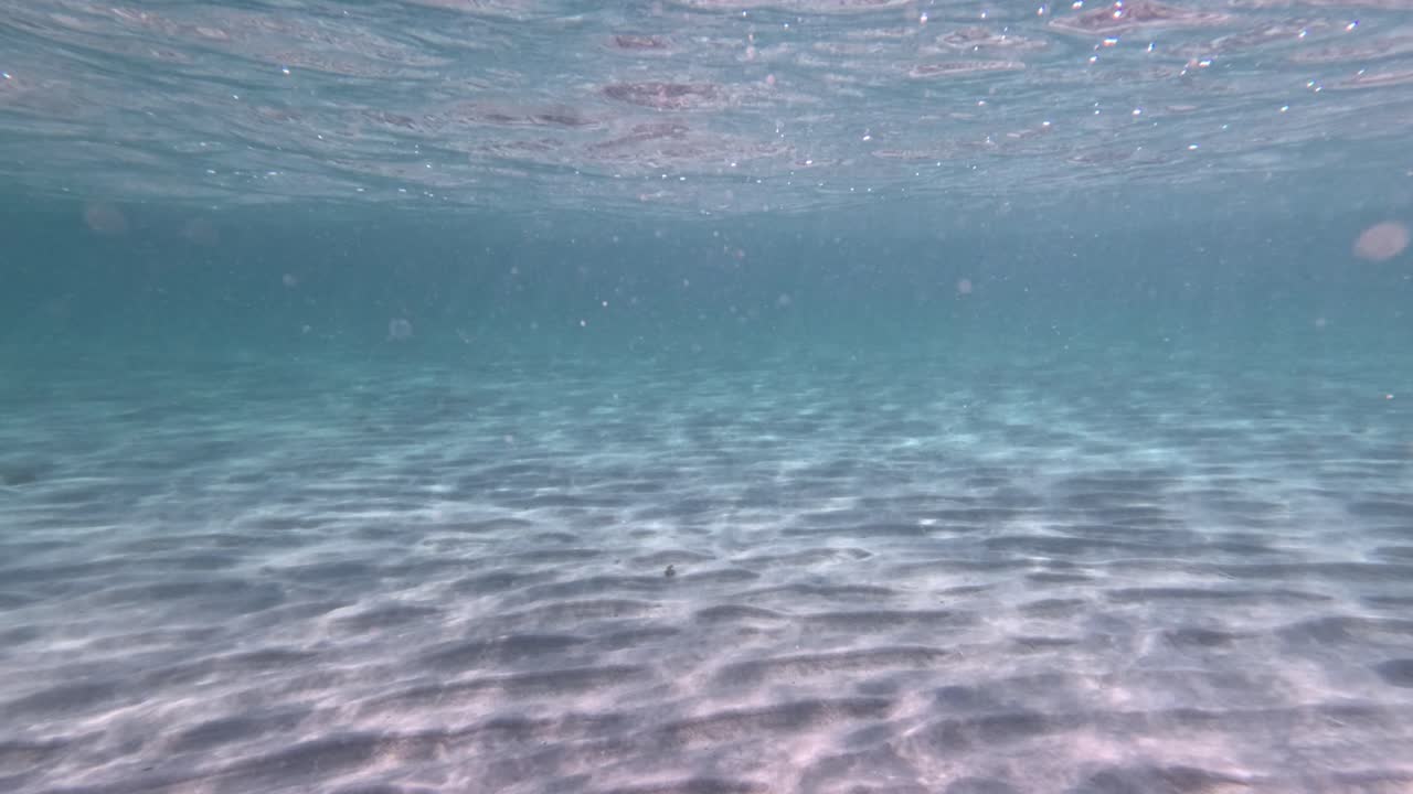 Clear water and sandy bottom at Dromana Pier