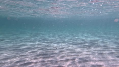 clear water and sandy bottom at dromana pier