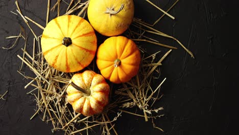 Yellow-pumpkins-laid-on-hay