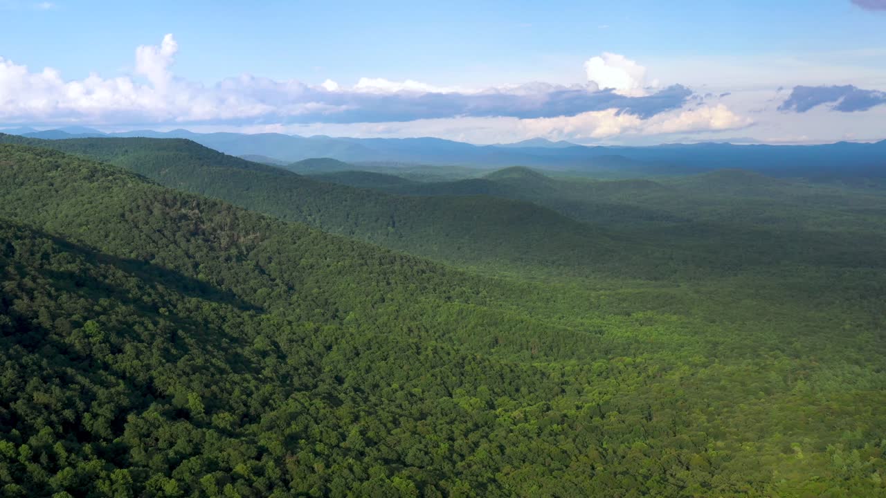 panorámica aérea del mediodía del hermoso paisaje forestal de georgia