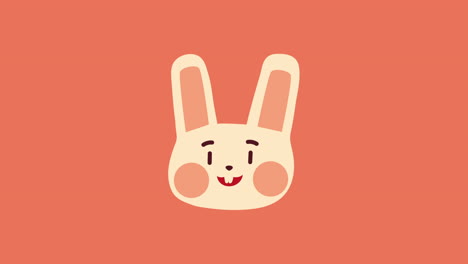 cute rabbit animal head animation