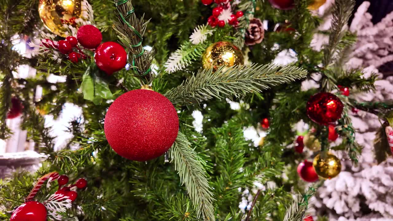 Single matte red bauble on green Christmas pine tree, showing fine details of needles, shiny gold baubles, red berries and hints of white snow-like flocking in the background bokeh, slow motion pan