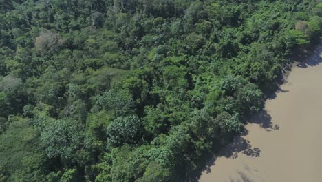 drone lateral shot over the amazon river and jungle