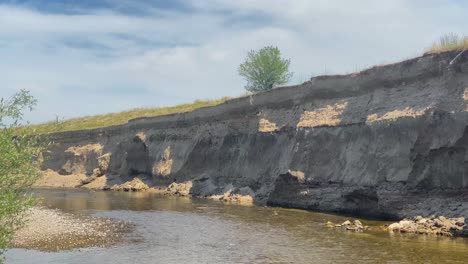 active colony of swallows on the river bank