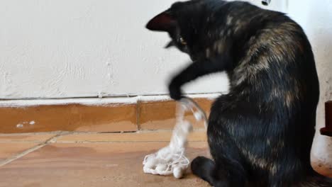 a black kitten playing with a string